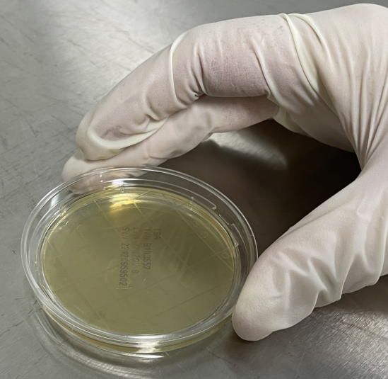 嬰配乳粉生產企業環境微生物監測(一)——表面微生物采樣 嬰配乳粉生產企業環境微生物監測(一)——表面微生物采樣