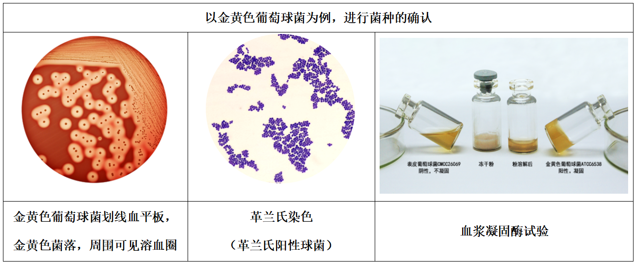 1101無菌檢查法——培養基適用性檢查操作要點（中國藥典2020年版四部）