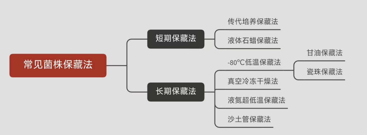 常見菌株保藏法的優缺點對比